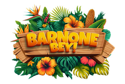 h4h-partner-barnone